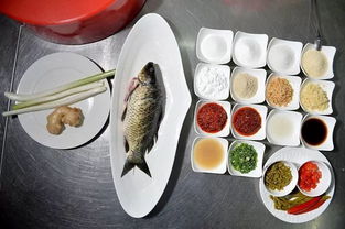 盛夏養(yǎng)陽正當(dāng)時(shí)——中醫(yī)視角下的老年人夏季養(yǎng)生保健指南